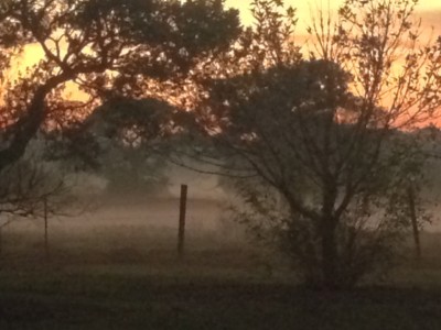 evening sunset with fog photo by patsy evins
