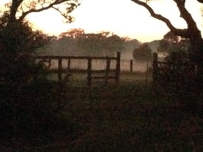  fog at sunset photo by patsy evins